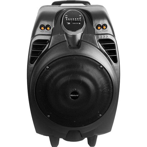 8” Portable Bluetooth DJ Speaker