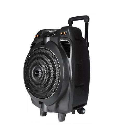 10” Portable Bluetooth DJ Speaker