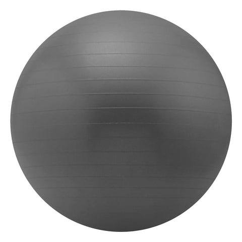 Skechers 55cm Balance Ball- Gray
