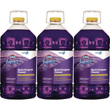 Cloroxpro Fraganzia Multi-purpose Cleaner Concentrate, Lavender Meadows Scent, 175 Oz Bottle, 3/carton