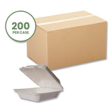 White Molded Fiber Clamshell Container, 8 X 17 X 2, White, Sugarcane, 200/carton