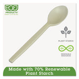 Ecosense Renewable Plant Starch Cutlery, Spoon, 7", 50/pack, 20 Pack/carton