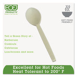 Ecosense Renewable Plant Starch Cutlery, Spoon, 7", 50/pack, 20 Pack/carton