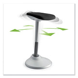 Perch Series, Black-black, Silver Base
