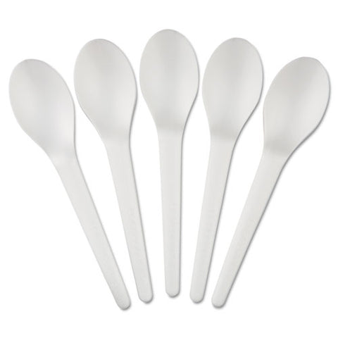 Plantware Compostable Cutlery, Spoon, 6", Pearl White, 50-pack, 20 Pack-carton