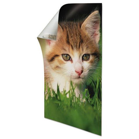 Poster Strips Value Pack, 5-8" X 1 3-4", White, 48-pack