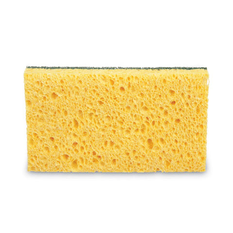 Sponge,scrb,med Duty