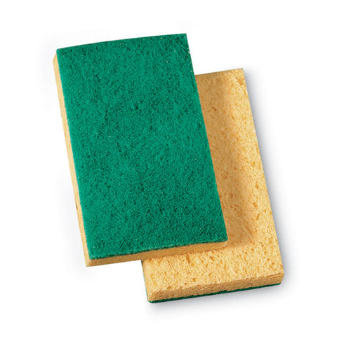 Sponge,scrb,med Duty