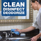 Disinfecting-sanitizing Bathroom Cleaner, One Gallon Bottle