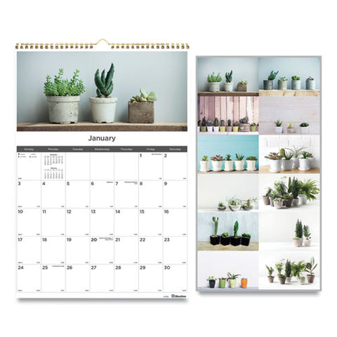 12-month Wall Calendar, 12 X 17, Succulent Plants, 2021