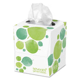 100% Recycled Facial Tissue, 2-ply, 85 Sheets-box, 36 Boxes-carton