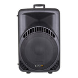 QFX Passive Speaker
