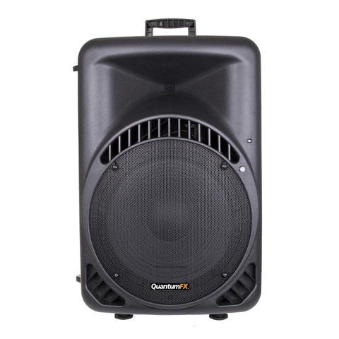QFX Passive Speaker