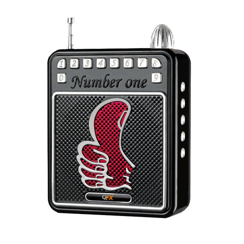 QFX Portable PA system with USB/MICRO-SD FM Radio and Recording