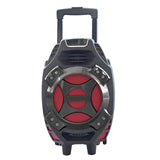 8" Professional Speaker